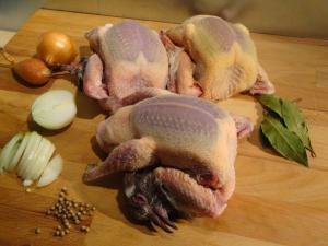 Le pigeonneau est une viande de gourmet. Cette viande rouge est tr&egrave;s riche en fer et peu grasse. Son temps de cuisson est tr&egrave;s court car