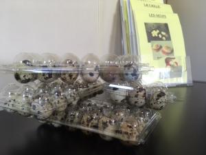 L'oeuf de caille est consid&eacute;r&eacute; comme le produit d'origine animale qui poss&egrave;de le contenu le plus &eacute;quilibr&eacute; en